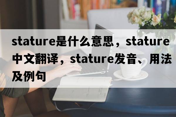 stature是什么意思，stature中文翻譯，stature發(fā)音、用法及例句