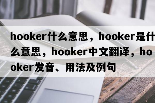 hooker什么意思，hooker是什么意思，hooker中文翻譯，hooker發(fā)音、用法及例句