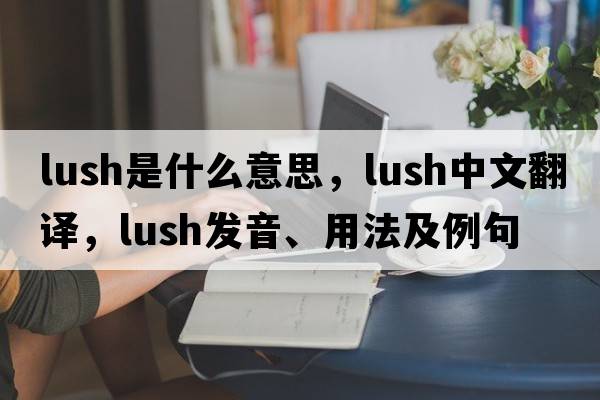 lush是什么意思，lush中文翻譯，lush發(fā)音、用法及例句