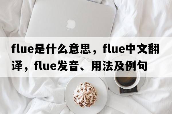 flue是什么意思，flue中文翻譯，flue發(fā)音、用法及例句