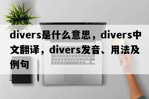 divers是什么意思，divers中文翻譯，divers發(fā)音、用法及例句