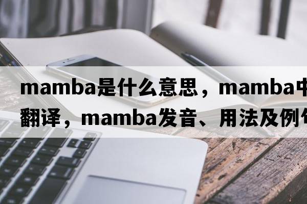 mamba是什么意思，mamba中文翻譯，mamba發(fā)音、用法及例句