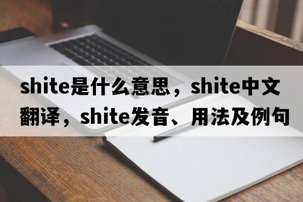 shite是什么意思，shite中文翻譯，shite發(fā)音、用法及例句