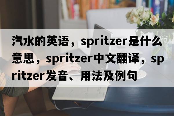 汽水的英語(yǔ)，spritzer是什么意思，spritzer中文翻譯，spritzer發(fā)音、用法及例句