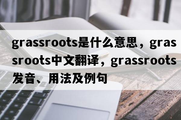 grassroots是什么意思，grassroots中文翻譯，grassroots發(fā)音、用法及例句