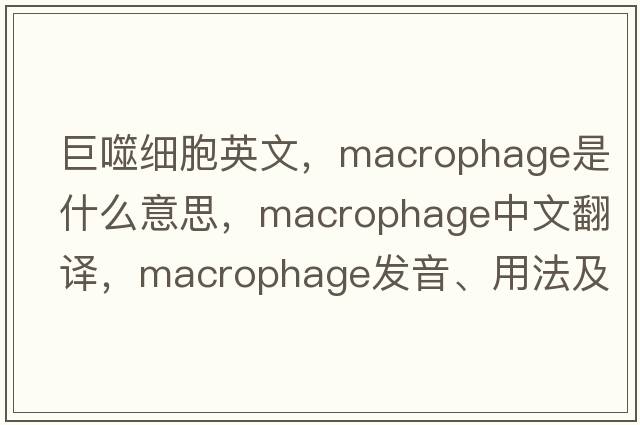 巨噬細胞英文，macrophage是什么意思，macrophage中文翻譯，macrophage發(fā)音、用法及例句