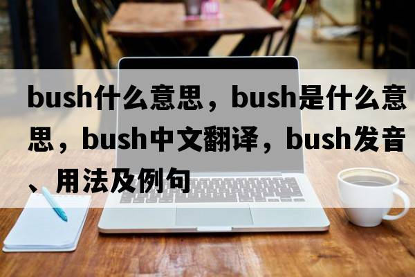 bush什么意思，bush是什么意思，bush中文翻譯，bush發(fā)音、用法及例句