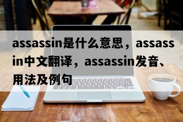 assassin是什么意思，assassin中文翻譯，assassin發(fā)音、用法及例句