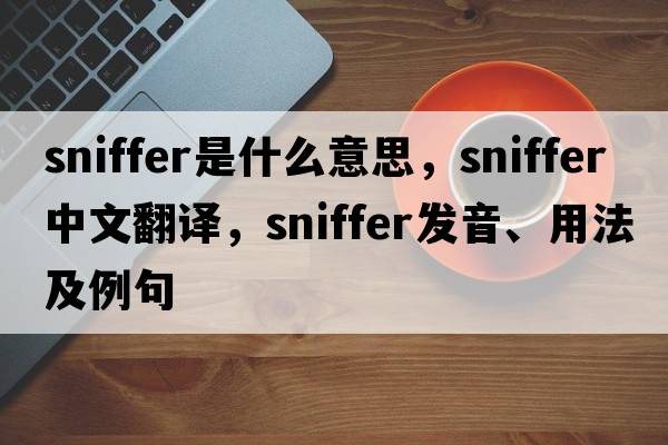 sniffer是什么意思，sniffer中文翻譯，sniffer發(fā)音、用法及例句