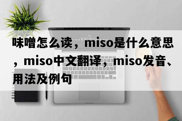 味噌怎么讀，miso是什么意思，miso中文翻譯，miso發(fā)音、用法及例句