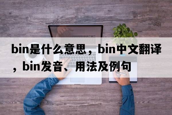 bin是什么意思，bin中文翻譯，bin發(fā)音、用法及例句