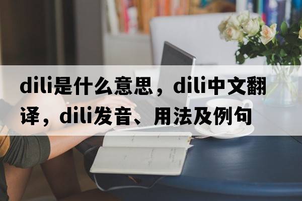 dili是什么意思，dili中文翻譯，dili發(fā)音、用法及例句