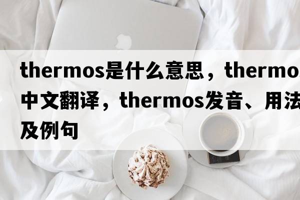 thermos是什么意思，thermos中文翻譯，thermos發(fā)音、用法及例句