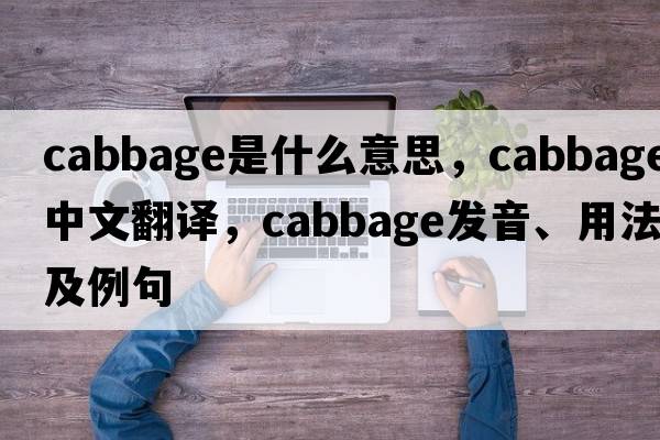 cabbage是什么意思，cabbage中文翻譯，cabbage發(fā)音、用法及例句
