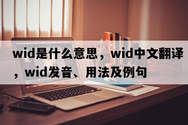 wid是什么意思，wid中文翻譯，wid發(fā)音、用法及例句