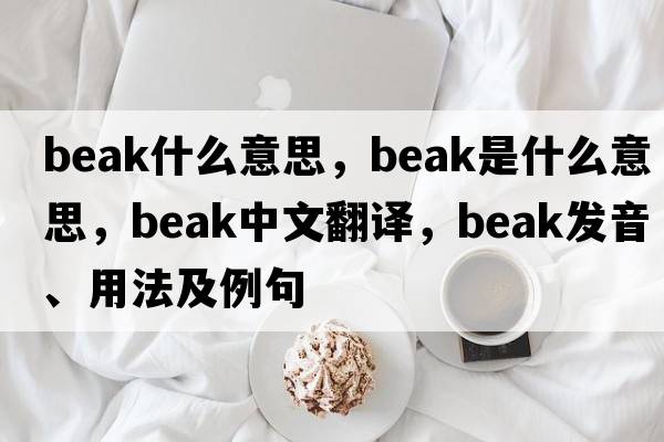 beak什么意思，beak是什么意思，beak中文翻譯，beak發(fā)音、用法及例句