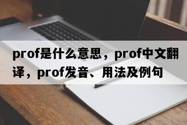 Prof是什么意思，Prof中文翻譯，Prof發(fā)音、用法及例句
