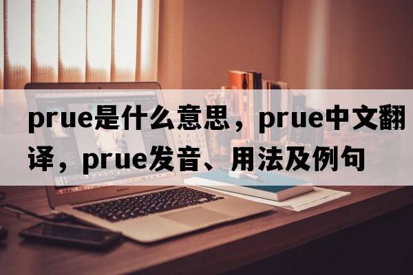 Prue是什么意思，Prue中文翻譯，Prue發(fā)音、用法及例句