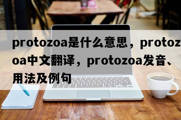 Protozoa是什么意思，Protozoa中文翻譯，Protozoa發(fā)音、用法及例句