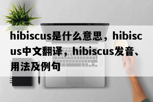 hibiscus是什么意思，hibiscus中文翻譯，hibiscus發(fā)音、用法及例句