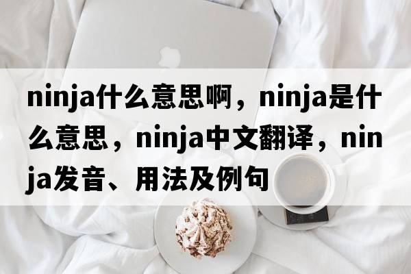 ninja什么意思啊，ninja是什么意思，ninja中文翻譯，ninja發(fā)音、用法及例句