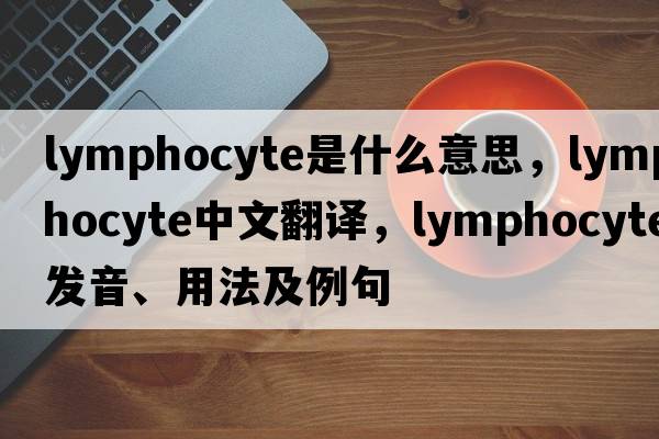 lymphocyte是什么意思，lymphocyte中文翻譯，lymphocyte發(fā)音、用法及例句