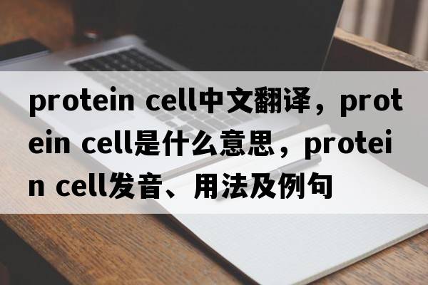 protein cell中文翻譯，protein cell是什么意思，protein cell發(fā)音、用法及例句
