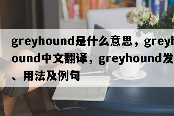 greyhound是什么意思，greyhound中文翻譯，greyhound發(fā)音、用法及例句