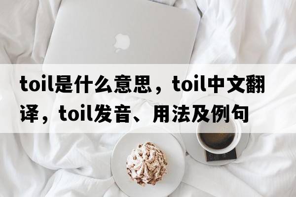 toil是什么意思，toil中文翻譯，toil發(fā)音、用法及例句
