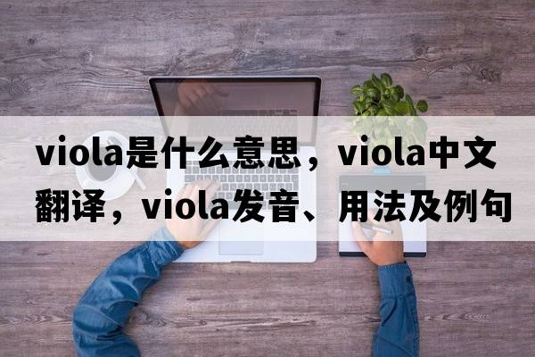viola是什么意思，viola中文翻譯，viola發(fā)音、用法及例句