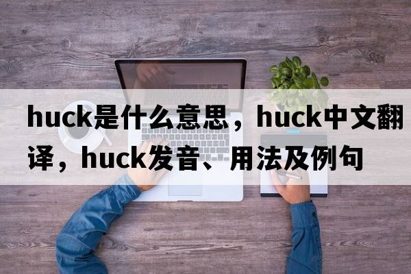 huck是什么意思，huck中文翻譯，huck發(fā)音、用法及例句