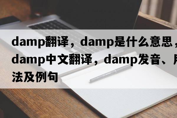 damp翻譯，damp是什么意思，damp中文翻譯，damp發(fā)音、用法及例句