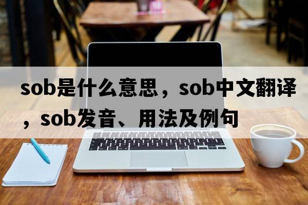 sob是什么意思，sob中文翻譯，sob發(fā)音、用法及例句