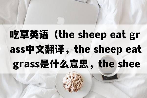 吃草英語(yǔ)（the sheep eat grass中文翻譯，the sheep eat grass是什么意思，the sheep eat grass發(fā)音、用法及例句）