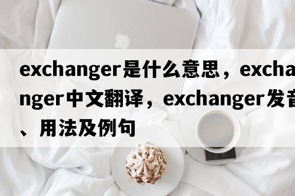 exchanger是什么意思，exchanger中文翻譯，exchanger發(fā)音、用法及例句