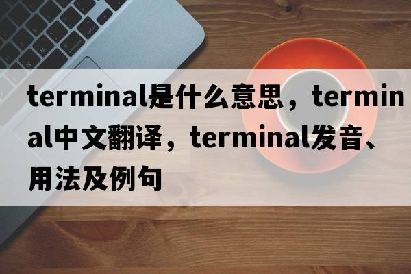 terminal是什么意思，terminal中文翻譯，terminal發(fā)音、用法及例句