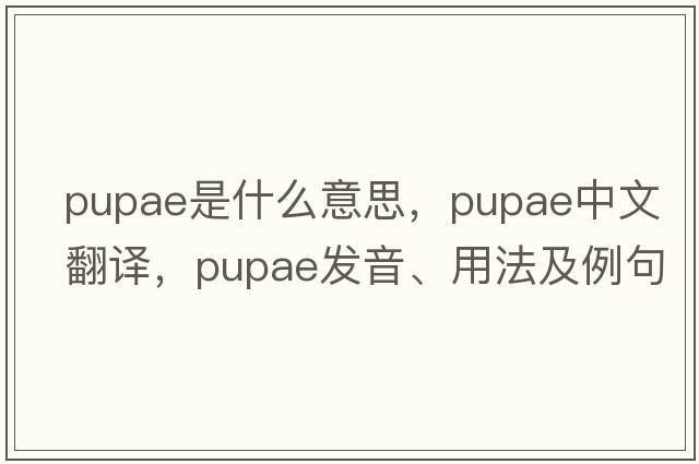 pupae是什么意思，pupae中文翻譯，pupae發(fā)音、用法及例句