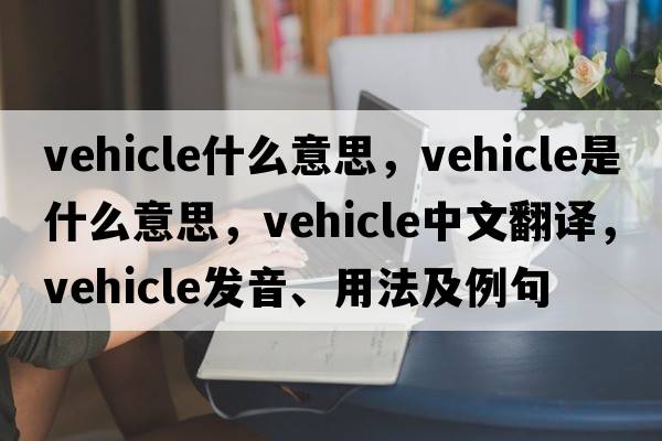 vehicle什么意思，vehicle是什么意思，vehicle中文翻譯，vehicle發(fā)音、用法及例句