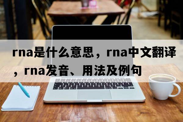 RNA是什么意思，RNA中文翻譯，RNA發(fā)音、用法及例句