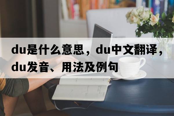 du是什么意思，du中文翻譯，du發(fā)音、用法及例句