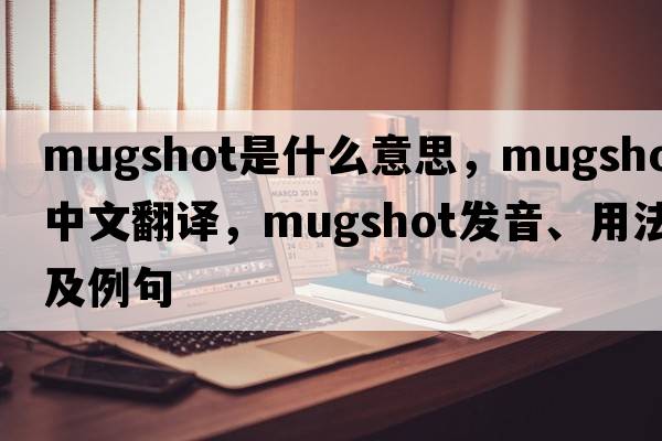 mugshot是什么意思，mugshot中文翻譯，mugshot發(fā)音、用法及例句