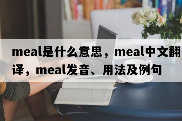 meal是什么意思，meal中文翻譯，meal發(fā)音、用法及例句