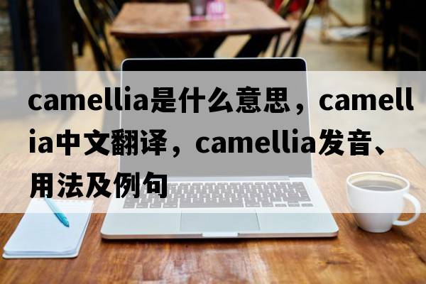 camellia是什么意思，camellia中文翻譯，camellia發(fā)音、用法及例句