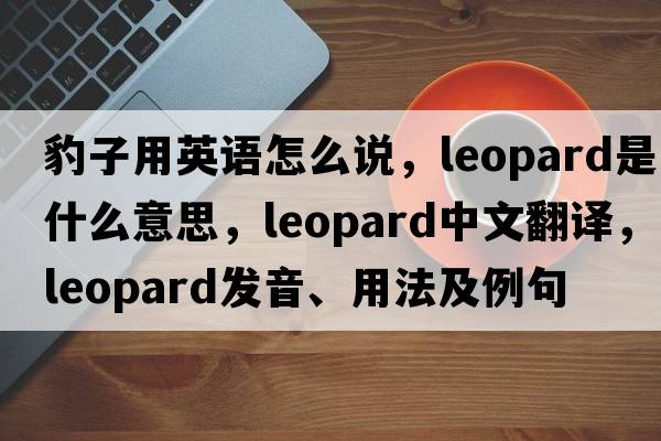 豹子用英語(yǔ)怎么說(shuō)，leopard是什么意思，leopard中文翻譯，leopard發(fā)音、用法及例句