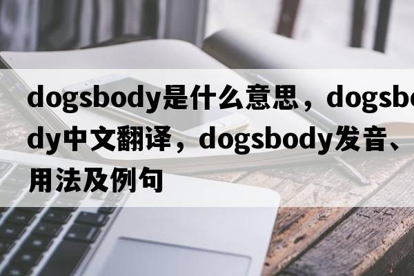 dogsbody是什么意思，dogsbody中文翻譯，dogsbody發(fā)音、用法及例句