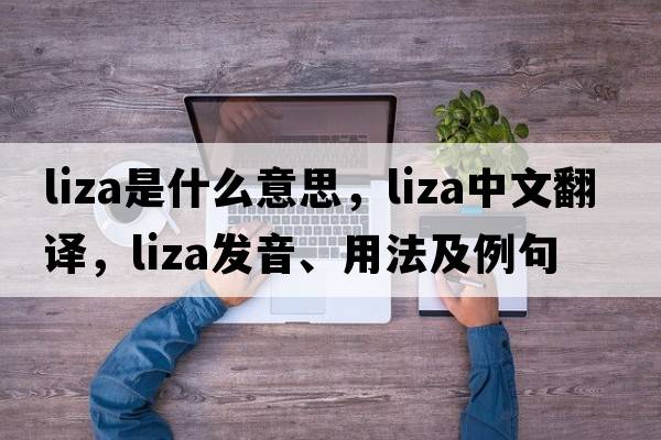 LIZA是什么意思，LIZA中文翻譯，LIZA發(fā)音、用法及例句