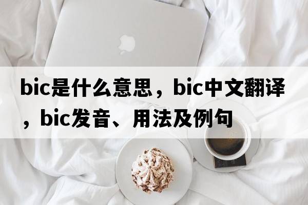 bic是什么意思，bic中文翻譯，bic發(fā)音、用法及例句