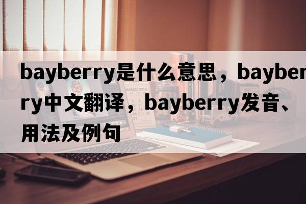 bayberry是什么意思，bayberry中文翻譯，bayberry發(fā)音、用法及例句