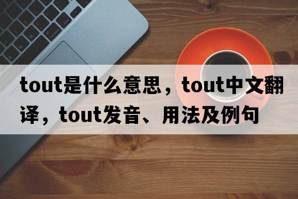tout是什么意思，tout中文翻譯，tout發(fā)音、用法及例句