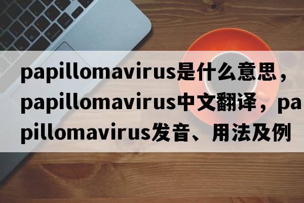 papillomavirus是什么意思，papillomavirus中文翻譯，papillomavirus發(fā)音、用法及例句